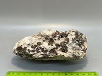 a gray granitic crystalline rock with large pyrope garnet crystals